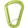 Edelrid HMS Strike Slider FG II Carabiner - Oasis -Edelrid edelrid hms strike 73769 73774 73773 73770 7 1184956