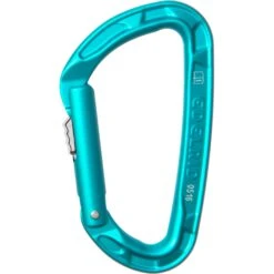 Edelrid Pure Slider II Carabiner - Icemint